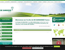 Tablet Screenshot of desangosse.fr